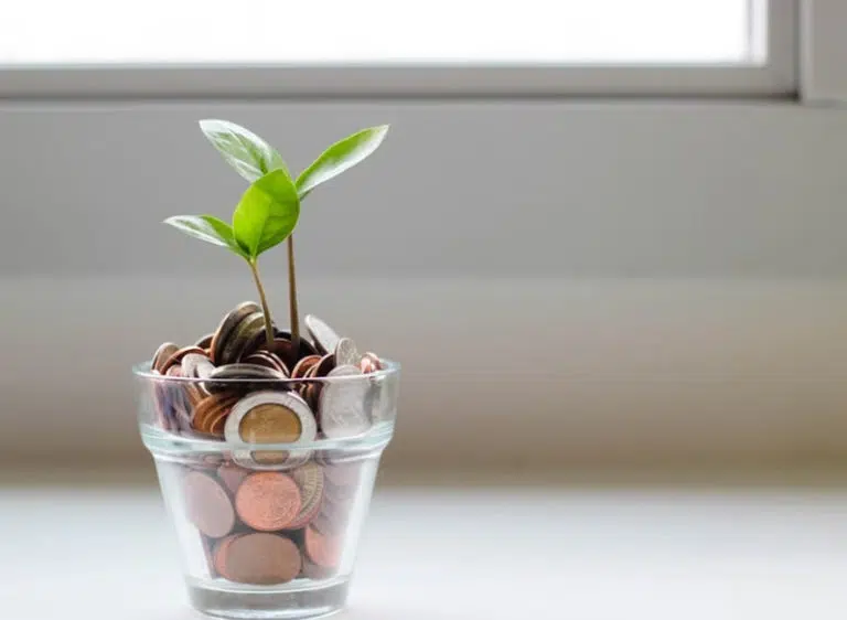Tips For Growing Your Charity