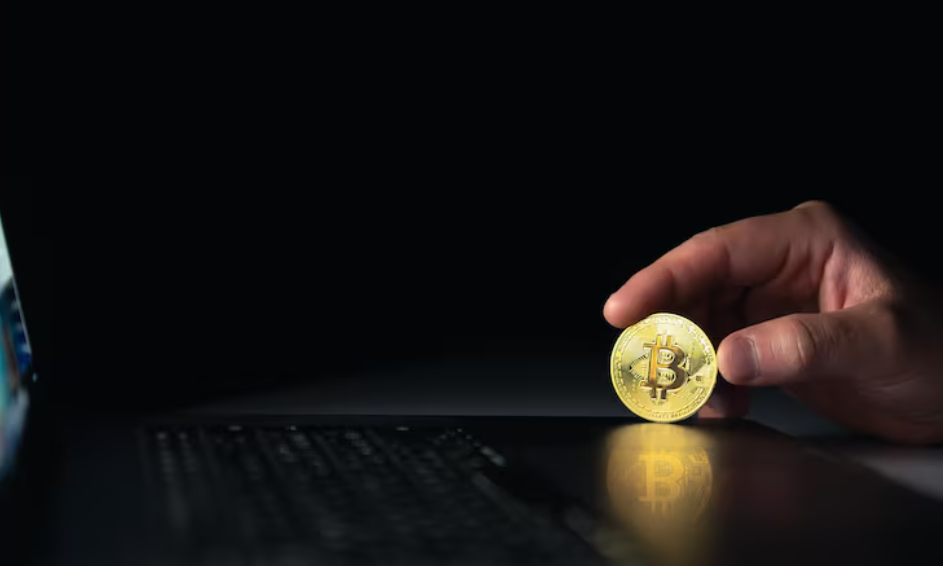 How US Crypto Licensing Services Support Legal Crypto Business Operations